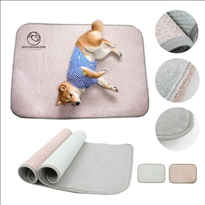 Durable Ultra-Soft Absorbent Quick-Dry Non-Slip Mat